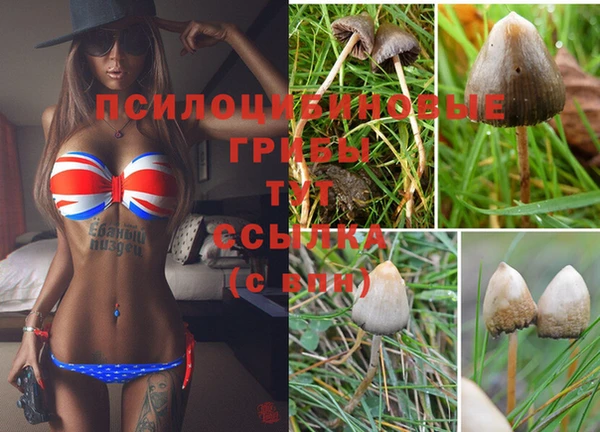экстази Волосово